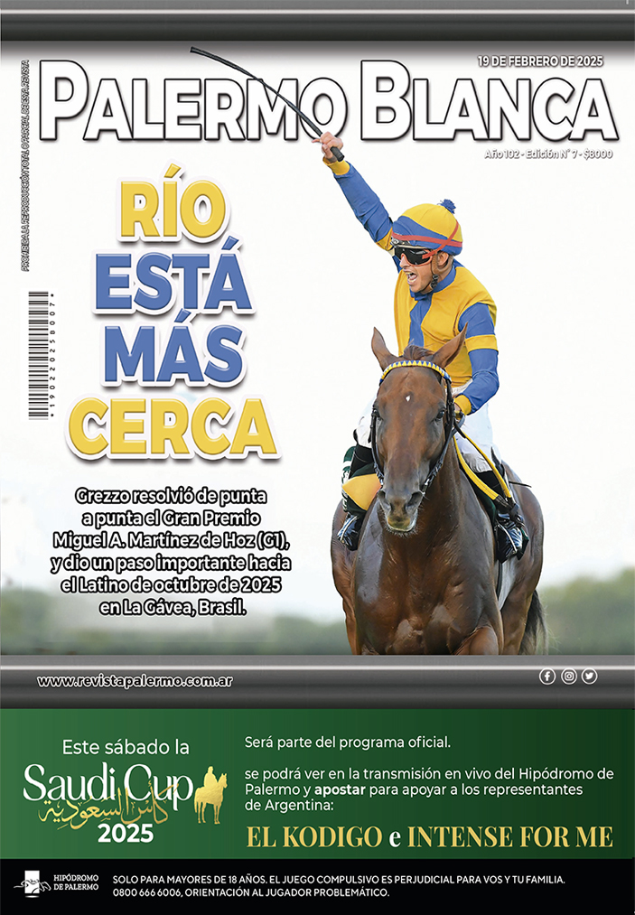 Revista Palermo