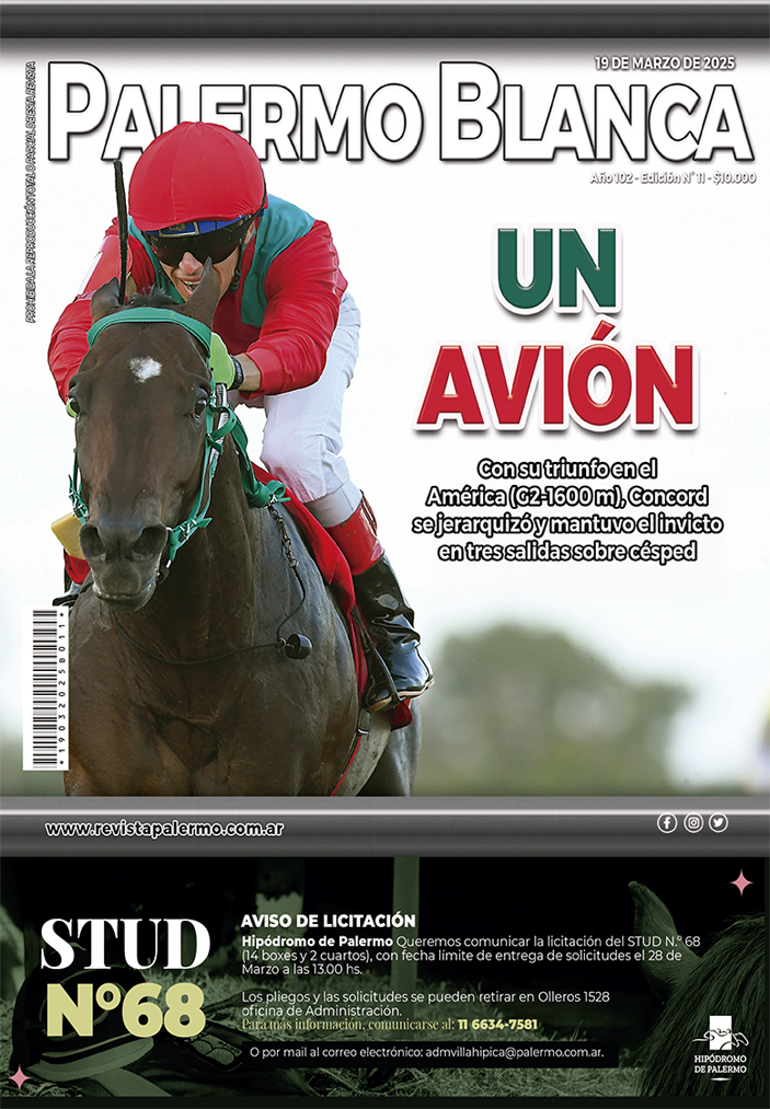 Revista Palermo