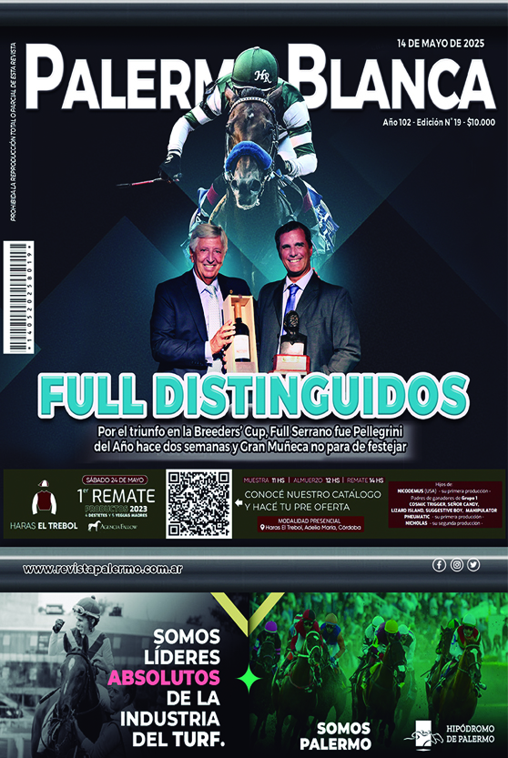 Revista Palermo