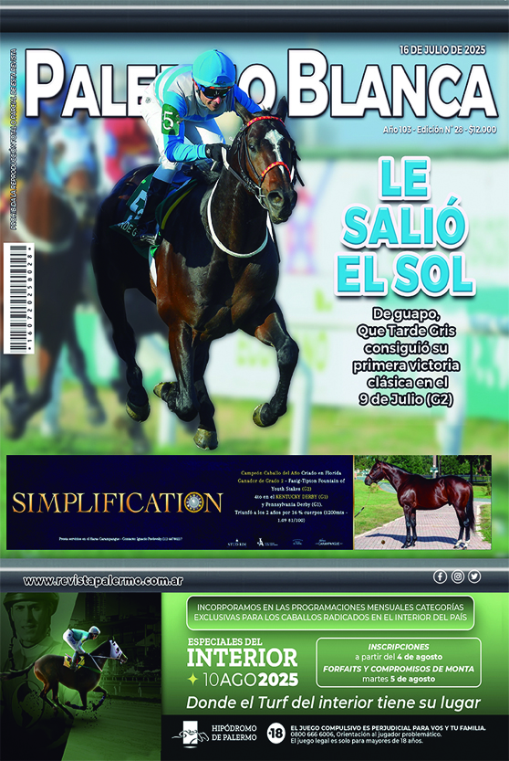 Revista Palermo
