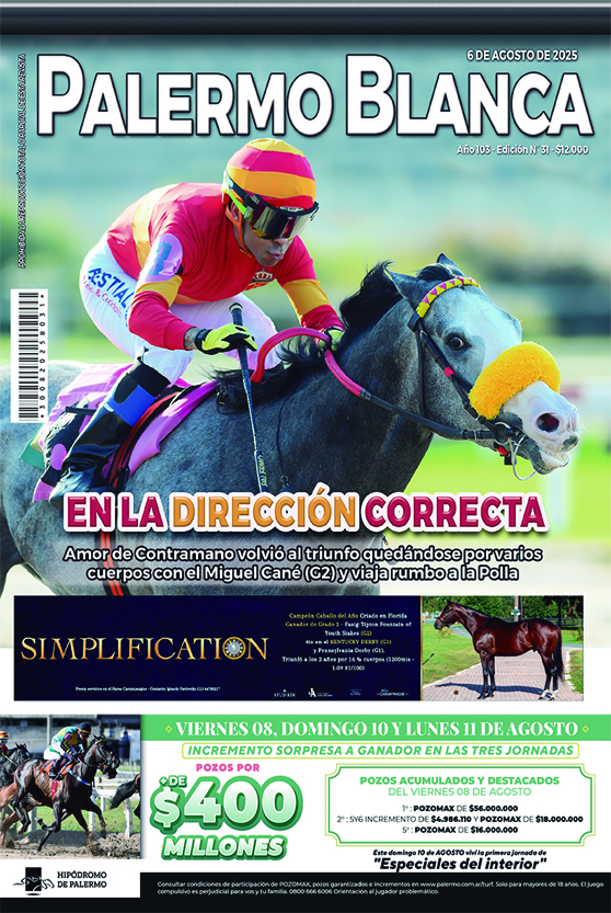 Revista Palermo