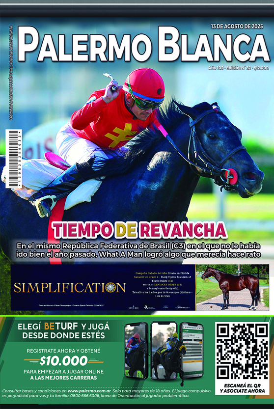 Revista Palermo
