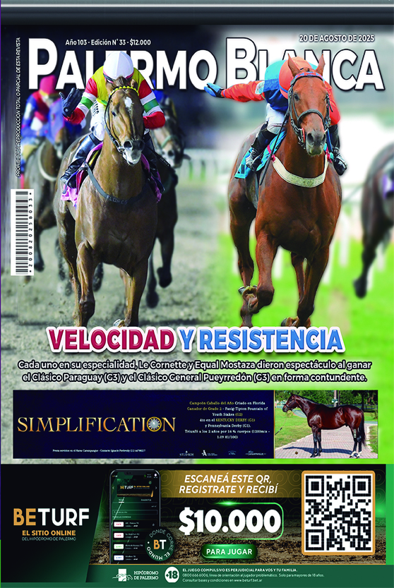 Revista Palermo