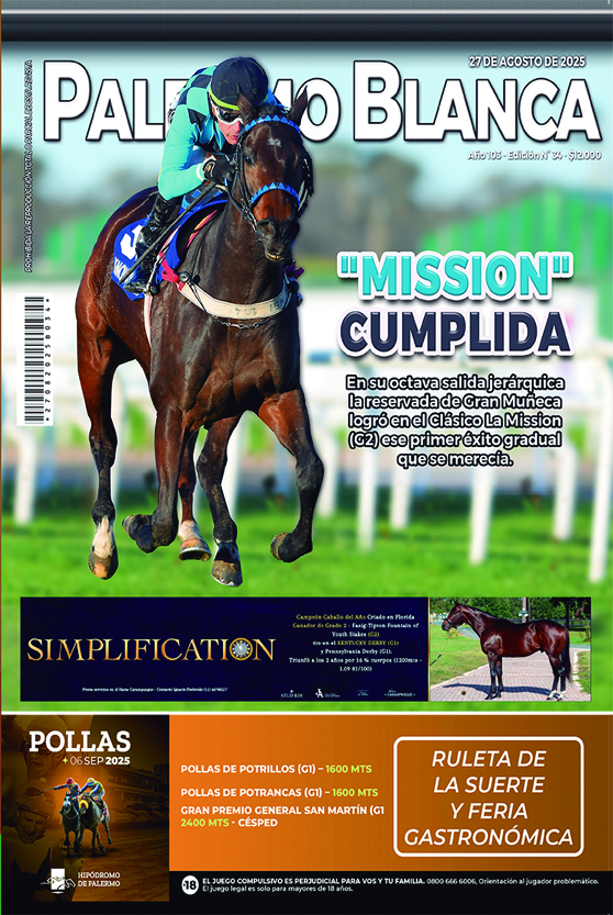 Revista Palermo