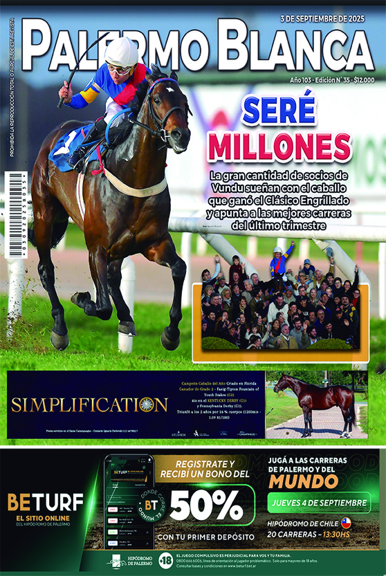 Revista Palermo