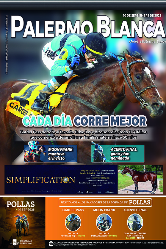 Revista Palermo