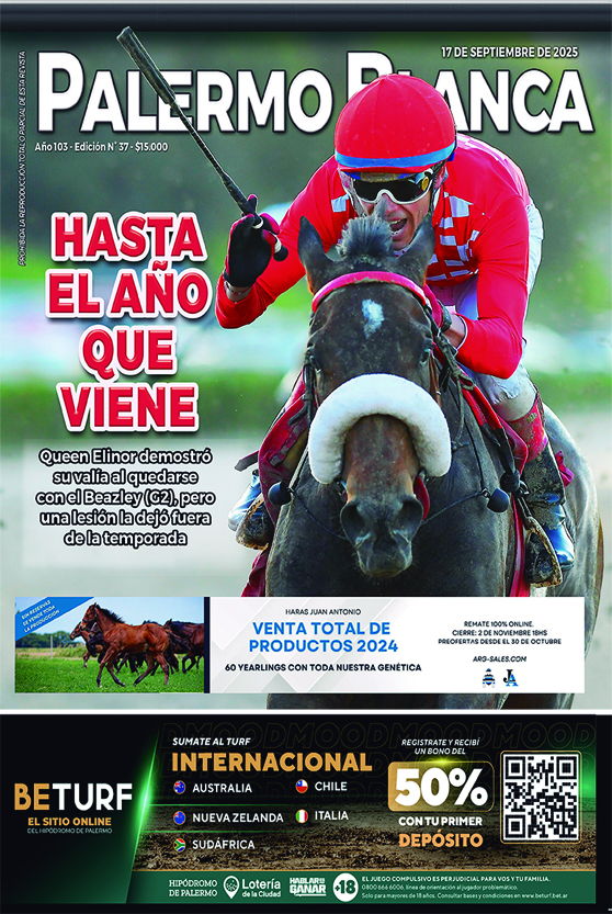 Revista Palermo