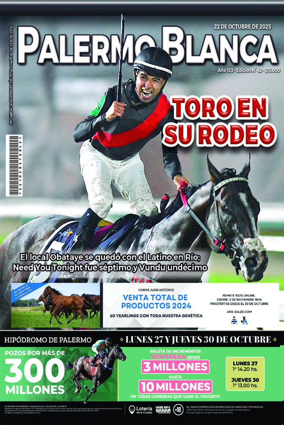Revista Palermo