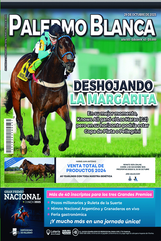 Revista Palermo