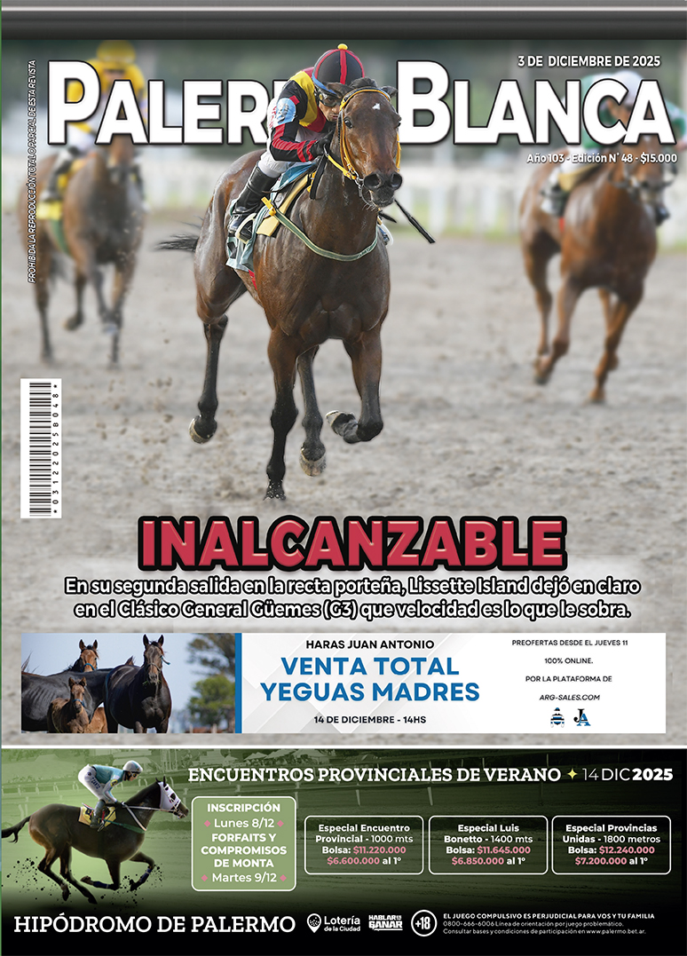 Revista Palermo