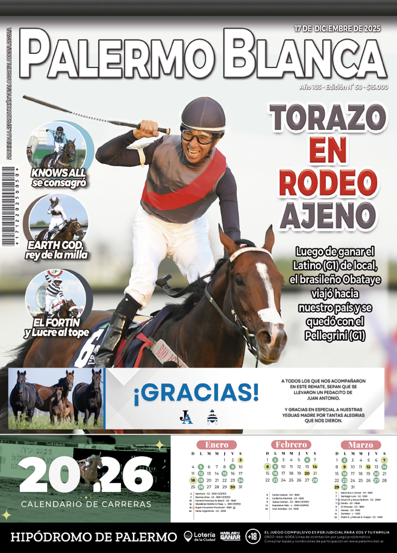 Revista Palermo