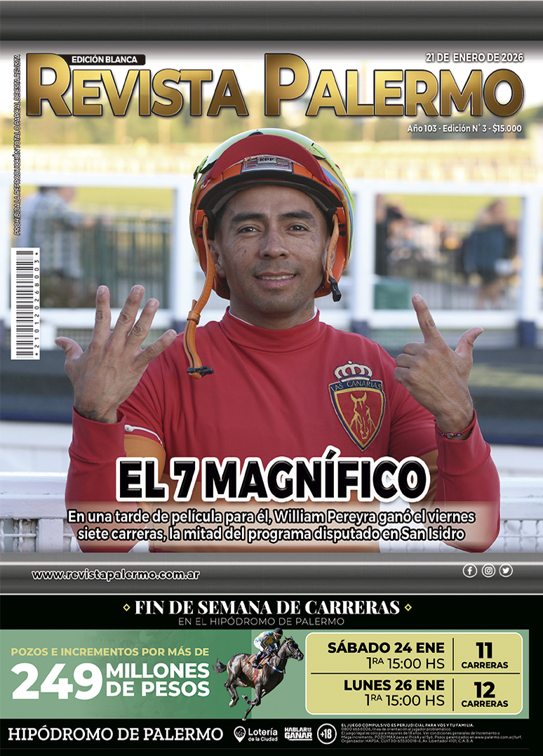 Revista Palermo