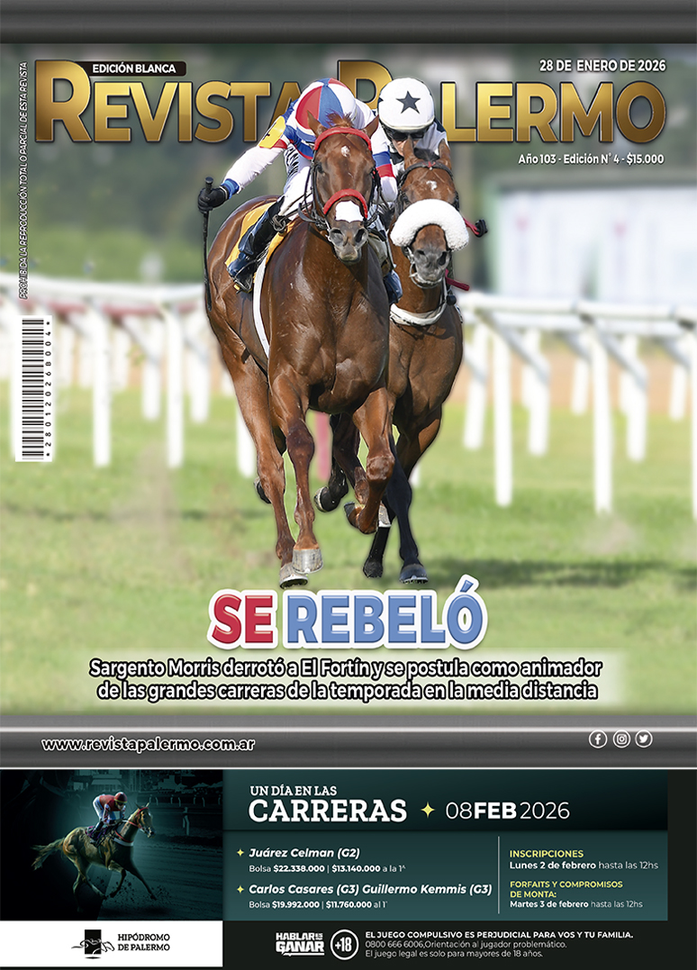 Revista Palermo