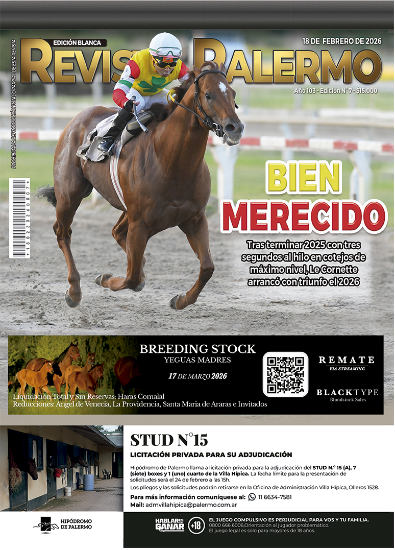 Revista Palermo