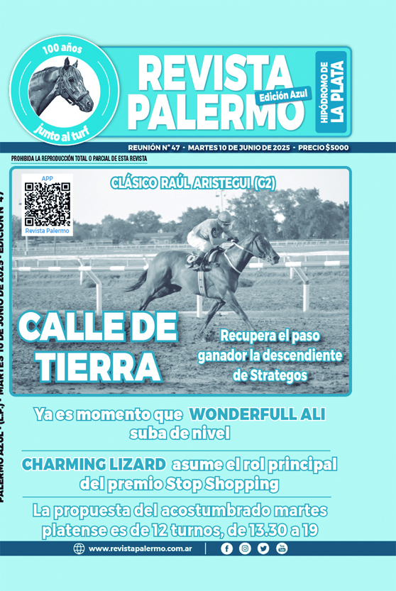 Revista Palermo