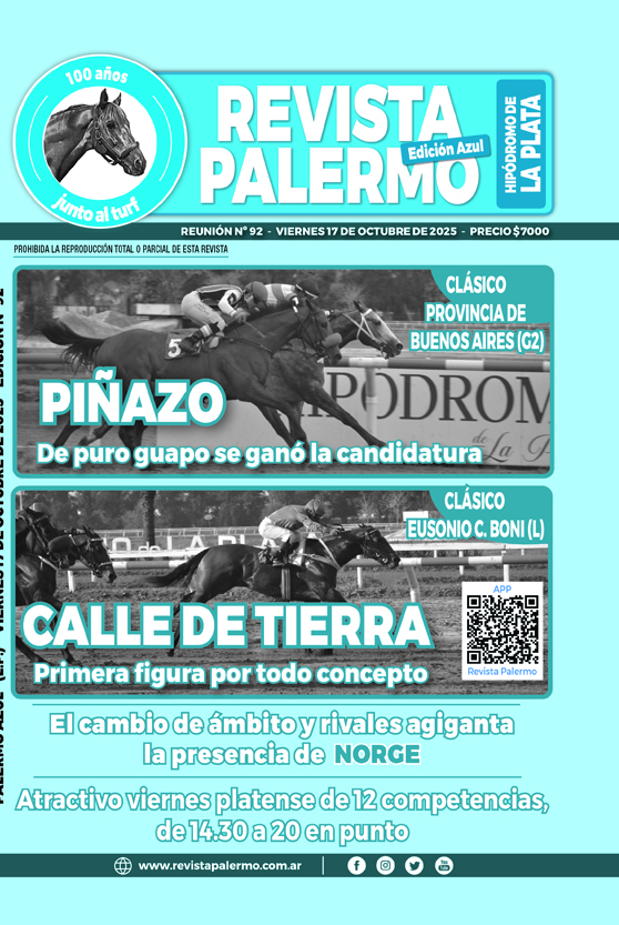 Revista Palermo