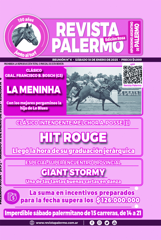 Revista Palermo