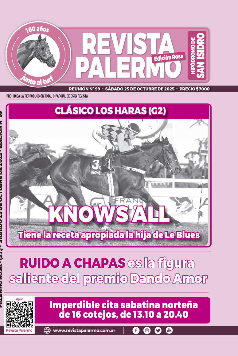Revista Palermo