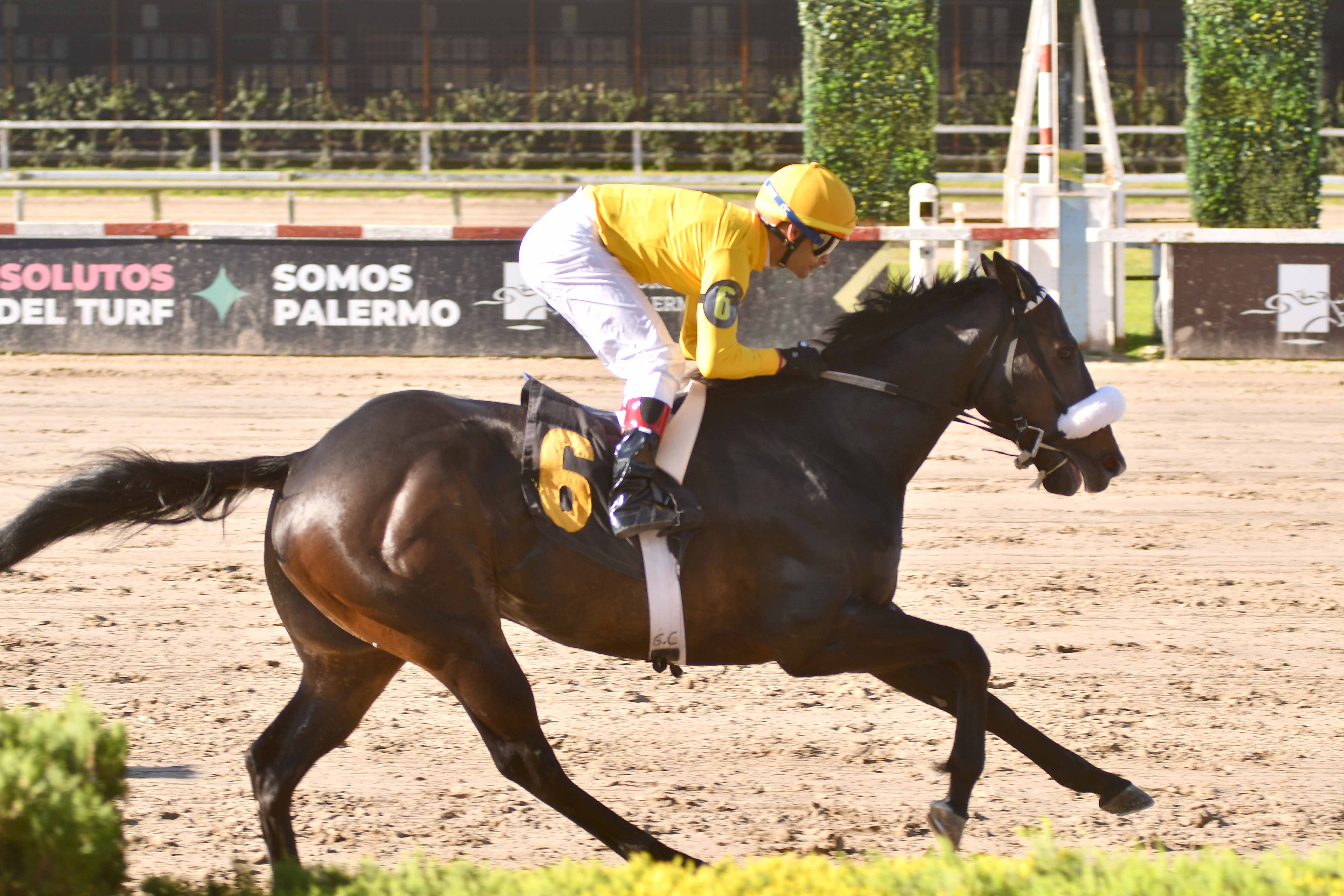Revista Palermo